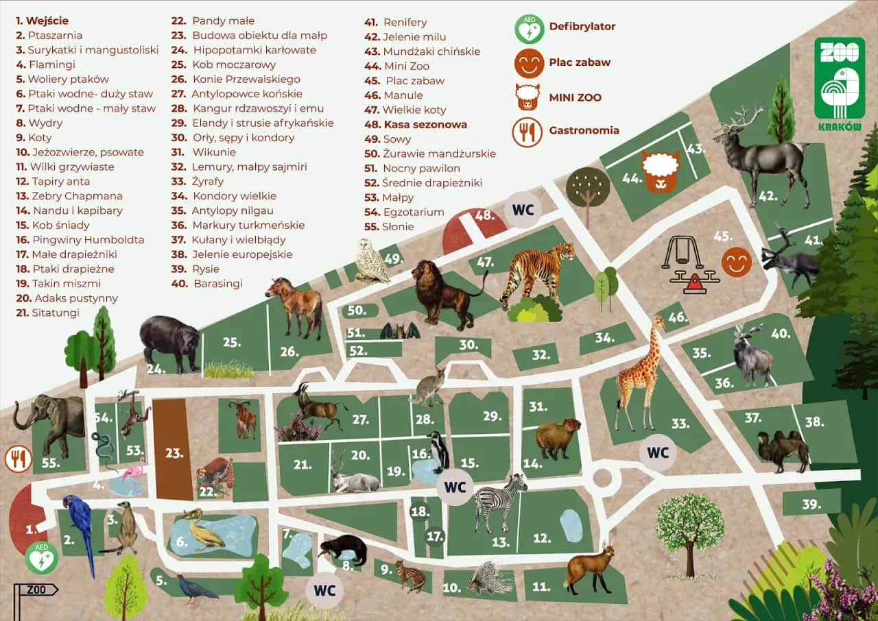 Kraków z dziećmi: Atrakcje na każdą pogodę i kieszeń!