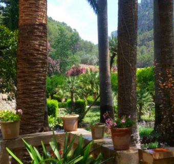 Jardines de Alfabia – ogród botaniczny na Majorce